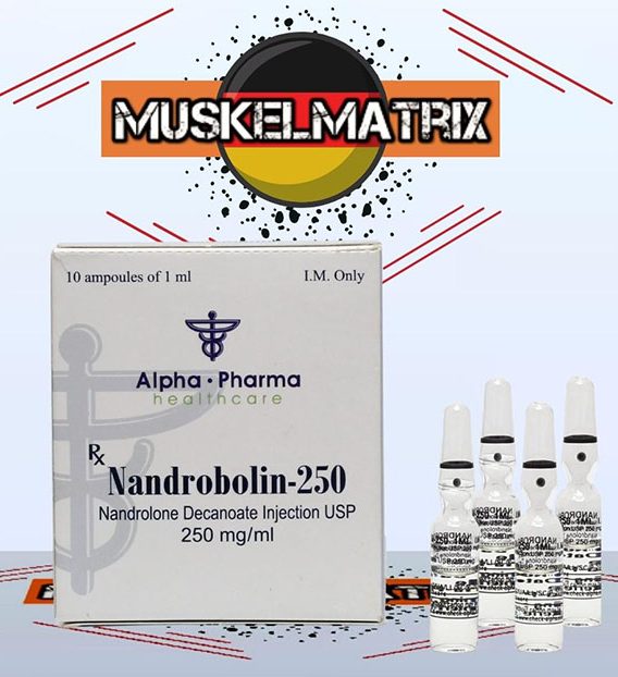 Nandrobolin 10 Ampullen