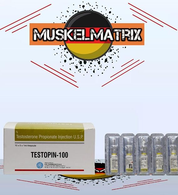 Testopin-100 10 Ampullen